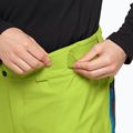 Pantaloni de schi Alpspitze 3L pentru bărbați Jack Wolfskin verde/negru 1115191 3