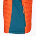 Jack Wolfskin bărbați Routeburn Pro Ins fără mâneci pentru drumeții fără mâneci portocaliu 1206871_3017_002 9
