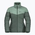 Jack Wolfskin jachetă de femei Herzberg Down verde 1207131_4311 5