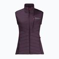 Jack Wolfskin Routeburn Pro Ins pentru femei de drumeție fără mâneci violet 1207201_2042_005 5