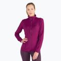 Jack Wolfskin hanorac pentru femei Peak Grid Fleece violet 1710351