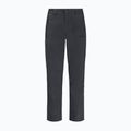 Pantaloni bărbătești Jack Wolfskin Active Track de culoare gri 1508251 4