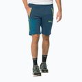 Pantaloni bărbătești softshellJack Wolfskin Glastal Zip Away albastru marin 1508301 3