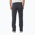 Pantaloni bărbătești Jack Wolfskin Glastal Zip Away gri 1508301 2