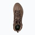 Încălțăminte de trekking pentru bărbați Jack Wolfskin Terraquest Texapore Mid bear 12