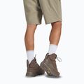 Încălțăminte de trekking pentru bărbați Jack Wolfskin Terraquest Texapore Mid bear 16