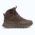 Încălțăminte de trekking pentru bărbați Jack Wolfskin Terraquest Texapore Mid bear 2