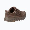 Încălțăminte de drumeție pentru bărbați Jack Wolfskin Terraquest Texapore Low gecko bear 2