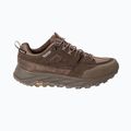 Încălțăminte de drumeție pentru bărbați Jack Wolfskin Terraquest Texapore Low gecko bear 3