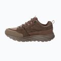 Încălțăminte de drumeție pentru bărbați Jack Wolfskin Terraquest Texapore Low gecko bear 4