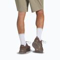 Încălțăminte de drumeție pentru bărbați Jack Wolfskin Terraquest Texapore Low gecko bear 9