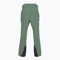 Jack Wolfskin pantaloni de trekking pentru bărbați Alpspitze Tour hedge verde 7