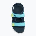 Sandale pentru copii  PUMA Evolve PS dark night/hero blue/lily pad 5