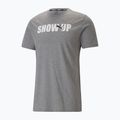 Tricoul de antrenament PUMA Performance pentru bărbați Tricou de antrenament Grafic gri 523236 03