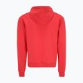 Bluză pentru bărbați FILA Bengel Regular Hoody cayenne 6