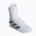 Încălțăminte de box adidas Box Hog 4 cloud white/collegiate green/core black