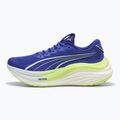 Încălțăminte de alergare pentru bărbați PUMA MagMax Nitro lapis lazuli/nitro blue 9