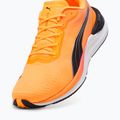 Încălțăminte de alergare pentru bărbați PUMA Electrify Nitro 3 Fade sun stream/sunset glow/puma white 12