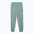 Pantaloni pentru bărbați PUMA ESS No. 1 Logo Sweatpants TR CL green moon