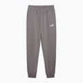 Pantaloni pentru bărbați PUMA ESS No. 1 Logo Sweatpants TR CL cast iron