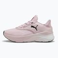 Încălțăminte de alergare pentru femei PUMA Softride Mayve rose mauve/puma black/sun struck
