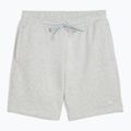 Pantaloni scurți de antrenament pentru bărbați PUMA x HYROX gri 3