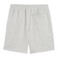Pantaloni scurți de antrenament pentru bărbați PUMA x HYROX gri 4