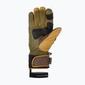 Mănuși de schi pentru bărbați  ZIENER Guard GTX + Gore Grip PR alpine dark/brown 3