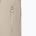 Pantaloni de schi pentru bărbați BOGNER FIRE+ICE Nic-T nomadic desert 3