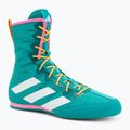 Încălțăminte de box adidas Box Hog 4 turquoise