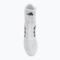 Încălțăminte de box adidas Box Hog II white/black 5