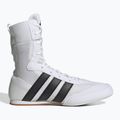 Încălțăminte de box adidas Box Hog Classic white 2