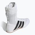 Încălțăminte de box adidas Box Hog Classic white 4