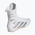 Încălțăminte de box adidas Box Hog 4 white/silver 2