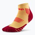Șosete compresive pentru bărbați CEP Run Low Cut 5.0 marigold/burgundy 2