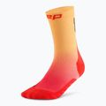Șosete compresive pentru bărbați CEP Run Edt. Gradient Mid Cut Compression 5.0 red/marigold fade 2