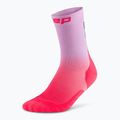 Șosete compresive pentru bărbați CEP Run Edt. Gradient Mid Cut Compression 5.0 pink/lilac fade 2