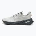 Încălțăminte de alergare pentru bărbați PUMA Fast-Trac Nitro 3 GTX dusky gray/gray echo