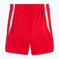 Pantaloni scurți de baschet pentru bărbați PUMA teamJAWS Starter for all time red 2