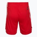 Pantaloni scurți de baschet pentru bărbați PUMA teamJAWS Starter for all time red 2