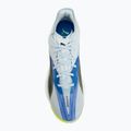 Încălțăminte de handbal PUMA Accelerate Nitro SQD 5 aqua glow/puma black/green glare/royal sapphire 5