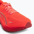 Încălțăminte de alergare pentru bărbați Puma Velocity Nitro 5 ultra red/red rhythm 7