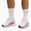 Încălțăminte de alergare pentru bărbați Puma Velocity Nitro 5 puma white/ultra red 7