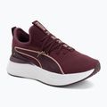 Încălțăminte pentru femei Buty Puma Softride Sabrina ruby noir/dusky rose