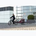 Remorcă pentru bicicletă Qeridoo Sportrex 1 cayenne red 6