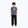 Tricou pentru bărbați Alpha Industries Basic greyblack 2