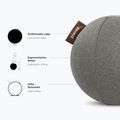 Minge de gimnastică STRYVE Active Ball 65 cm light grey 4