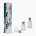 Volan de badminton YONEX Mavis 2000