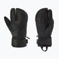 Mănuși de schi pentru bărbați Descente 3 Finger Leather black