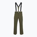Pantaloni de schi pentru bărbați Descente Swiss sturdy green